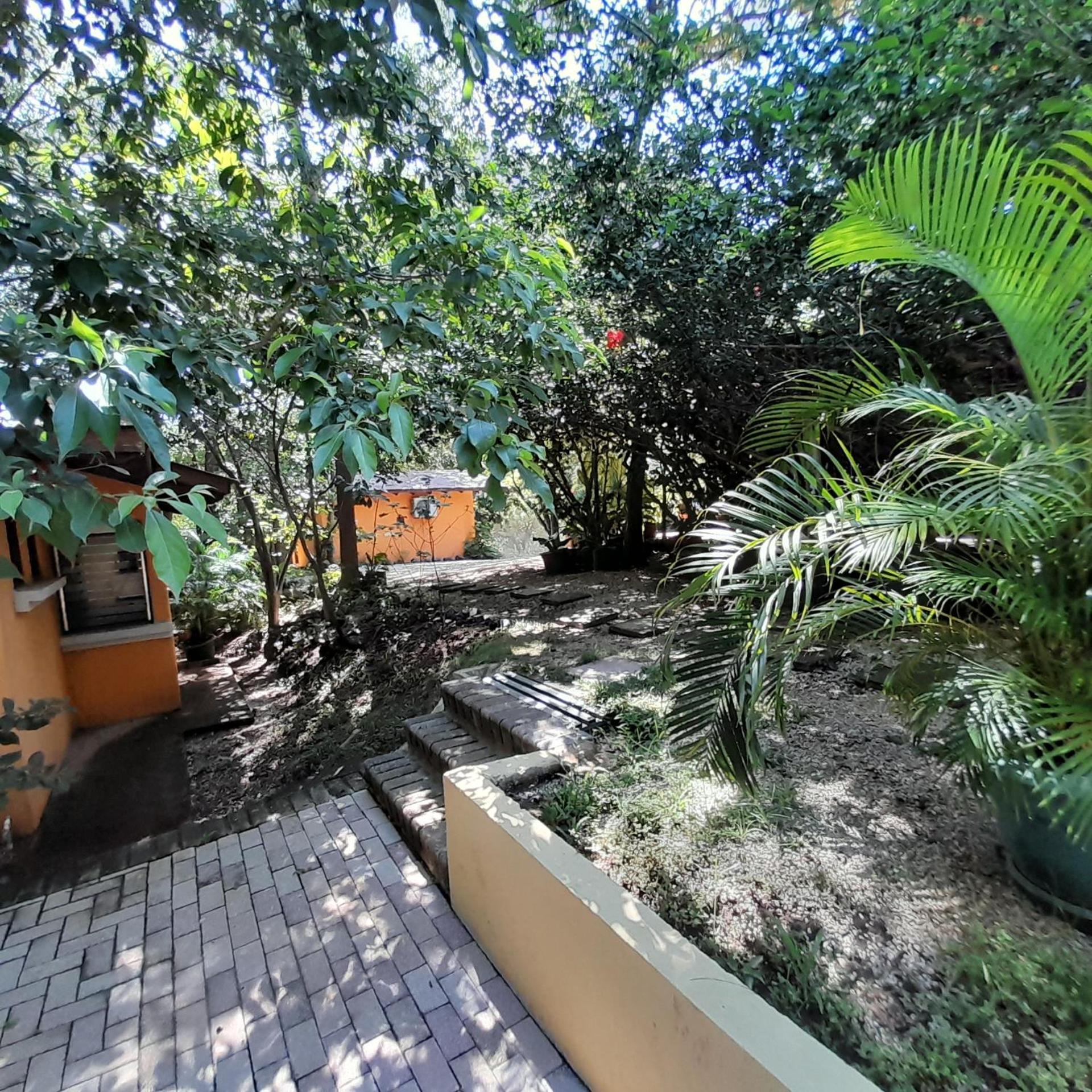 Cabinas La Playa Hotel
